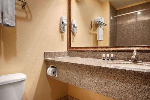 休斯顿Days Inn & Suites by Wyndham Sam Houston Tollway的一间带水槽、卫生间和镜子的浴室