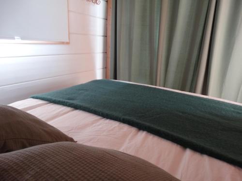 Champclauseles Lodges de la tortue permacole Douce verveine的一张床上有绿毯的床