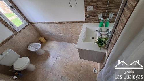 瓜莱瓜伊Las Gualeyas的享有带水槽和卫生间的浴室的顶部景致。