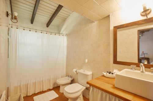 Eugenio Bustos拉西莉亚乡村民宿的一间带卫生间、水槽和镜子的浴室