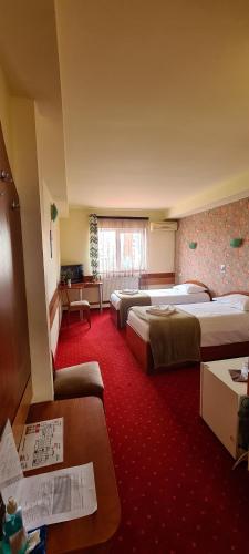 克卢日-纳波卡奥林普酒店的酒店客房,设有两张床和一张沙发