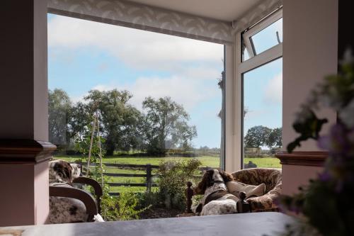 布里奇沃特Marsh Farm的客房设有大窗户,享有田野美景。