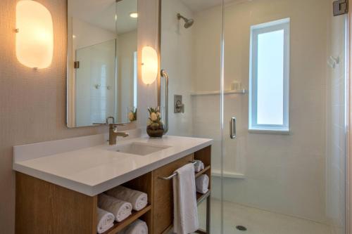 奥欣赛德万豪圣地亚哥欧申赛德/市中心春季山丘套房酒店的一间带水槽和淋浴的浴室