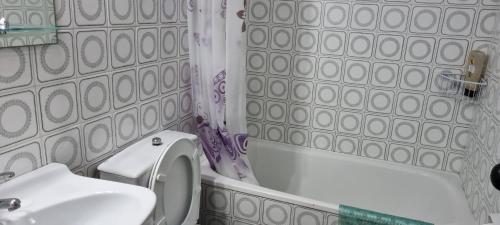 代穆斯Trandelu的浴室配有卫生间、盥洗盆和浴缸。