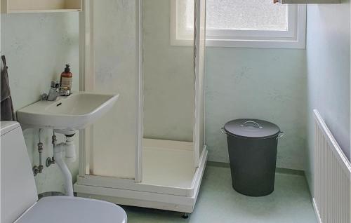 MalungsforsAmazing Home In Malungsfors With Kitchen的一间带水槽、卫生间和淋浴的浴室