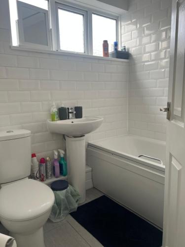 Forest HillJust Plan B Homes的浴室配有卫生间、盥洗盆和浴缸。