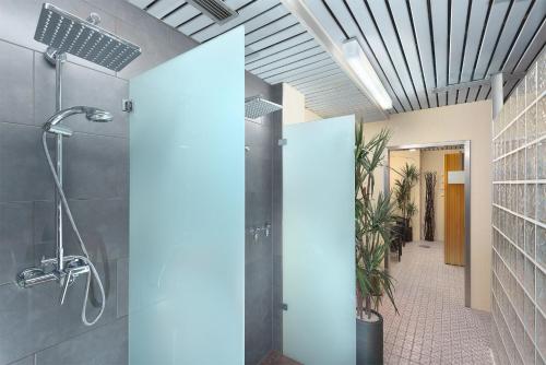巴特索登-萨尔明斯特Trip Inn Landhotel Badsoden-Salmünster的带淋浴和步入式淋浴间的浴室