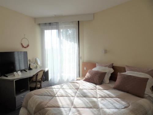 圣维克托Hotel Restaurant Le Jardin Délice的一间卧室配有一张大床和电视