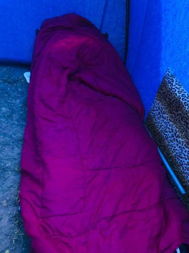 马拉喀什Imighlad的帐篷内的粉红色睡袋