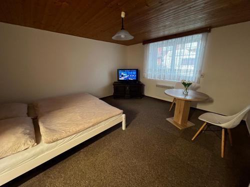 利托梅日采Květinová的一间卧室配有一张床、一张桌子和一台电视。