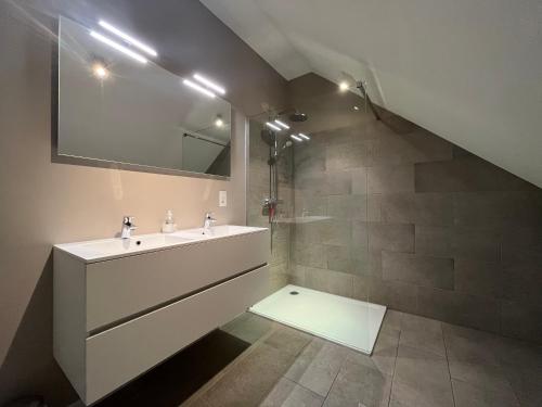 Bolderberg波儿德尔豪斯公寓的一间带水槽和镜子的浴室