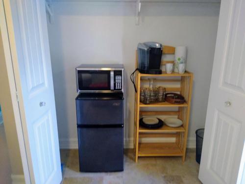 奥兰多Million Dollar Lake View的厨房配有冰箱上方的微波炉