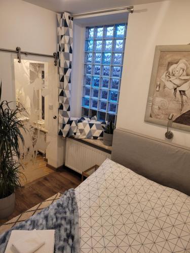 比得哥什Apartament Pod Orzechem的客房设有床和窗户。