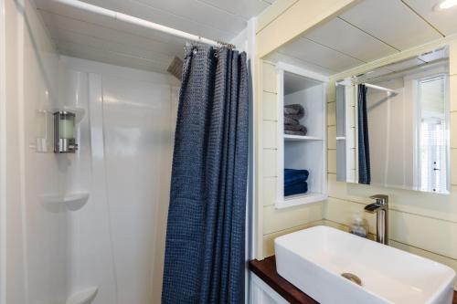 Apple ValleyRuby Red Tiny Home的浴室设有水槽和蓝色的浴帘