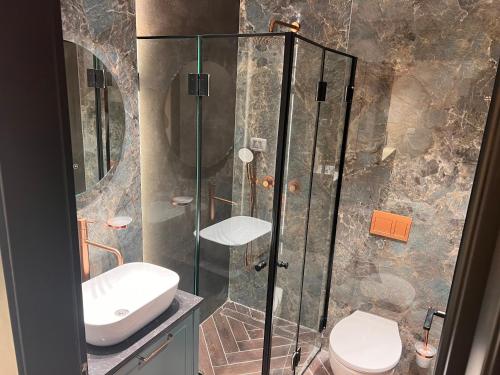 尼夫佐哈PALACE of the Dead Sea by CROWN Exclusive的带淋浴、卫生间和盥洗盆的浴室