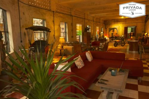 桔井PRIVADA LODGE的带沙发和盆栽植物的客厅