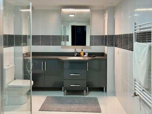 穆达尼亚NEW Seaview Bachelor Apartment Privacy + Closets的一间带水槽、卫生间和镜子的浴室