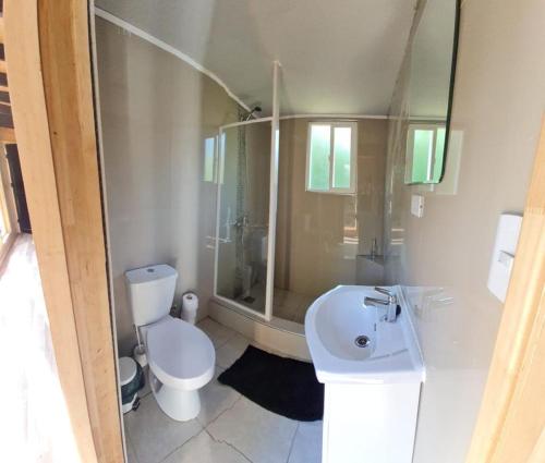 蒙特港Lodge in the Woods的浴室配有卫生间、淋浴和盥洗盆。