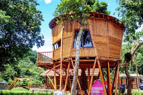 Luong SonLittle Bee的森林中间的树屋