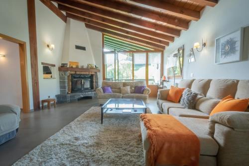 AiaOribarzar - Vivienda acogedora en plena naturaleza的带沙发和壁炉的客厅