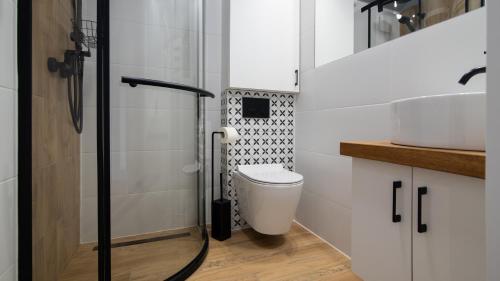 乌斯特龙Apartamenty Sun & Snow Nad Wisłą的一间带卫生间和水槽的浴室