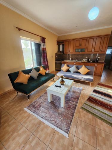 吉诺卡斯特Vila Antigonea的客厅配有两张沙发和一张咖啡桌