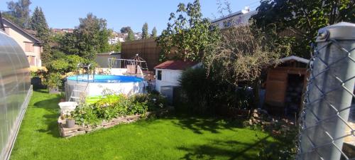 黑里绍Bijou 1 Hübsche 1 Zimmer Wohnung的后院设有游泳池和绿草