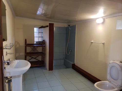 迭戈苏瓦雷斯Hotel Le Petit Paradis的一间带水槽、卫生间和淋浴的浴室