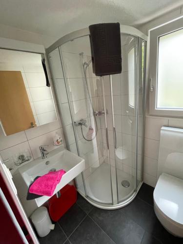 采尔马特科里布利木屋公寓的带淋浴和盥洗盆的浴室