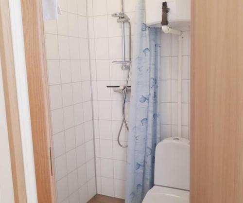 FjellRo的浴室配有淋浴和卫生间。