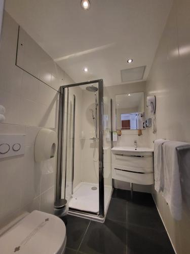 蒙蒂尼布勒托讷圣昆汀伊芙林卡吕德酒店 - 蒙蒂尼的带淋浴和卫生间的浴室