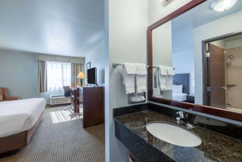 拉皮德城拉皮德城贝蒙特旅馆套房酒店的酒店客房设有一张床和一间带水槽的浴室