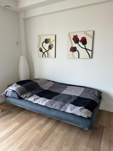 瓦埃勒City Apartment Dæmningen Vejle的墙上有两张照片的房间的一张床位