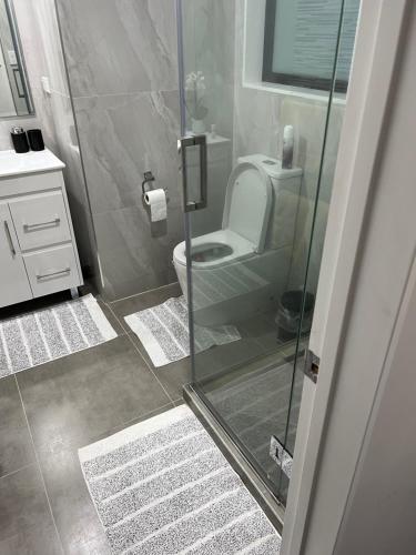 奥克兰Private resident的一间带卫生间和玻璃淋浴间的浴室