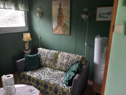 萨洛Vaskio-bed的带沙发和窗户的客厅