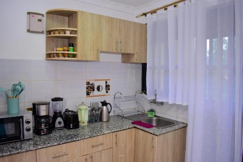 基苏木Bomani Penthouse的厨房配有水槽和微波炉