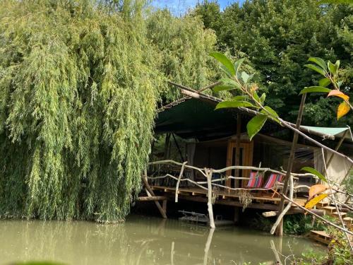 阿尔科巴萨Parque dos Monges的水中木筏上的房屋