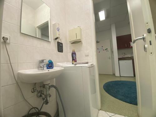 莱比锡Apartment Leipzig Zentrum mit Tiefgarage的白色的浴室设有水槽和镜子