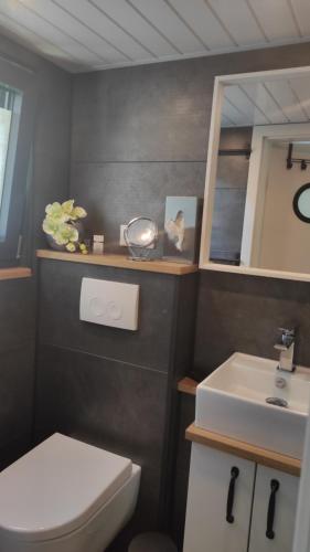 SalzhemmendorfTiny House 14 - Sollberg的浴室配有白色卫生间和盥洗盆。