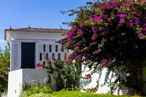 里瓦德奥Hotel O Cabazo的前面有粉红色花的白色房子