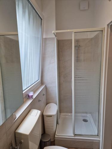 伍珀塔尔Apartment Wuppertal Heckinghausen的带淋浴、卫生间和盥洗盆的浴室