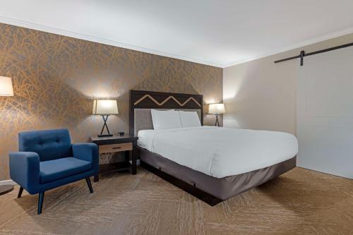 纳帕贝斯特韦斯特普勒斯文恩斯酒店的一间卧室配有一张床和一张蓝色椅子