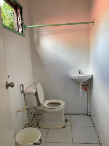 爱妮岛Austrias Guest House的一间带卫生间和水槽的浴室