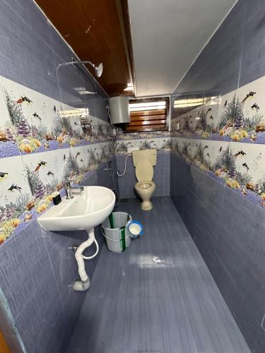 蒂鲁瓦纳马莱MPS Saai Residency的一间带水槽和卫生间的浴室
