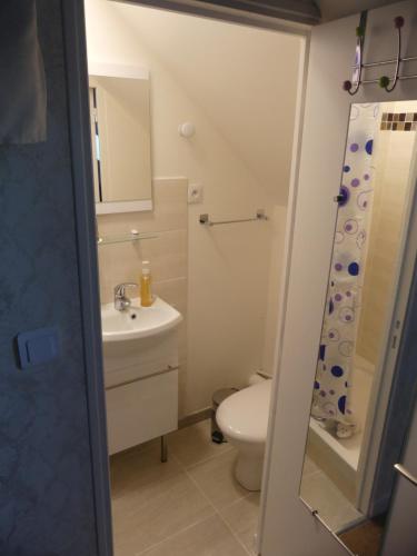 翁赞Le clos fleuri - Chambres d'hôtes的浴室配有卫生间、盥洗盆和淋浴。