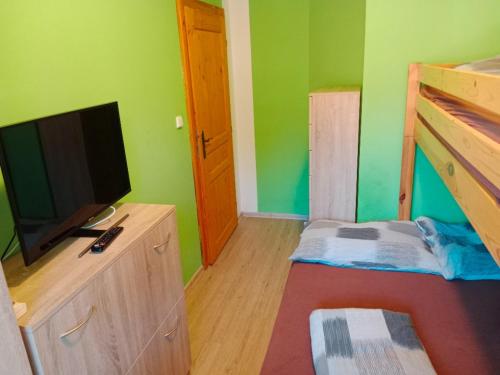 Dolní MoraviceWellness Penzion Eva的一间卧室设有绿色的墙壁和平面电视