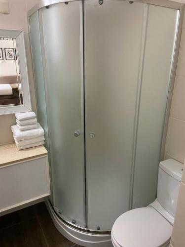 蒙得维的亚阿尔韦亚尔酒店的一间带卫生间的浴室内的玻璃淋浴间