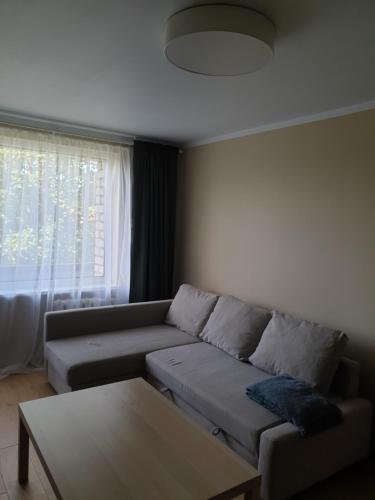 坎达瓦Ozolu apartement的客厅配有沙发和桌子