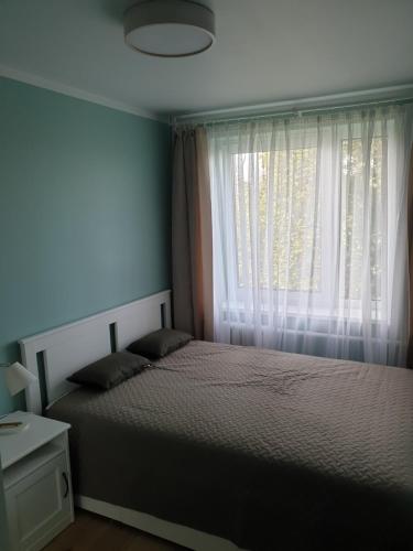 坎达瓦Ozolu apartement的一间卧室设有一张大床和一个窗户。