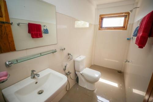 马纳尔Donkey clinic and education center的白色的浴室设有卫生间和水槽。